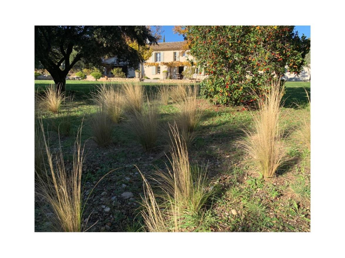 Les Jardins De Sitaara Bed & Breakfast Cucuron Exterior photo